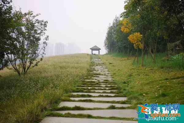 重庆草海湾公园在哪里？