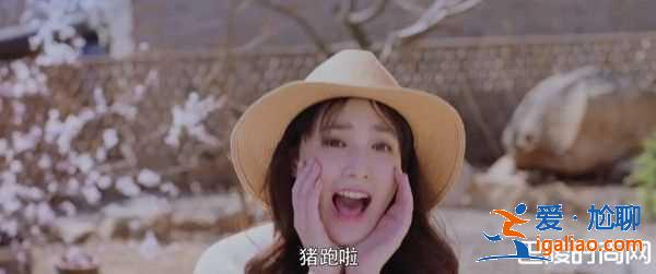 《东宫》彩蛋大结局 忘川夫妇真猪跑啦？