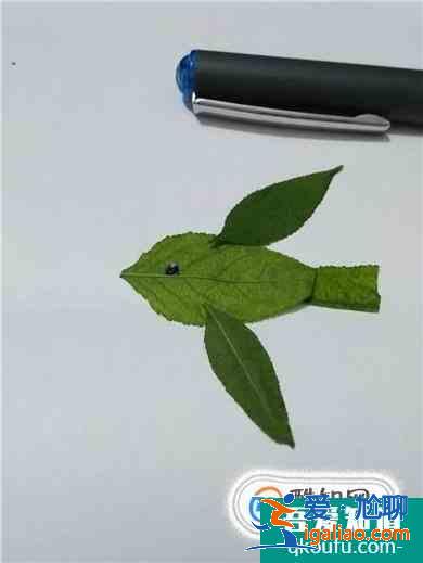 如何制作幼儿园树叶手工作品？