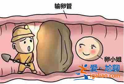 南京代生孩子价格_从此世界也增添一份色彩？