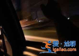 【仙居旅游买什么好】仙居特产清单，仙居有什么特产？