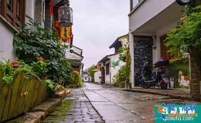 朱家角古镇旅游区攻略？