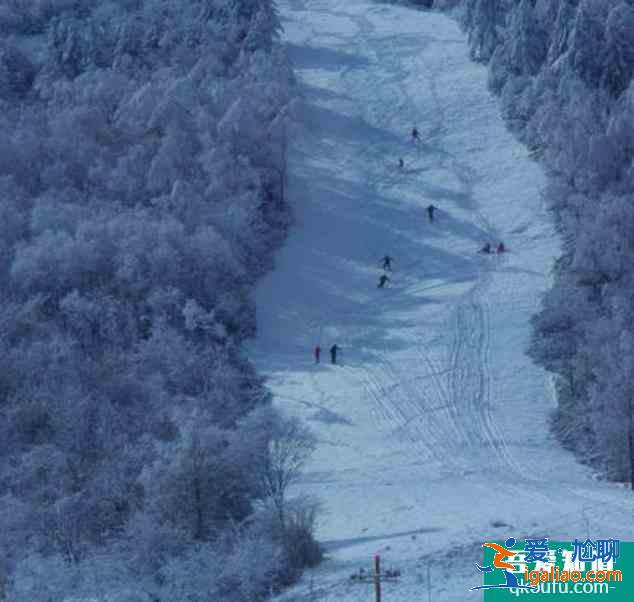 武汉去神龙架滑雪攻略2020？