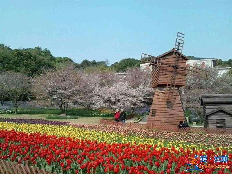 苏州小众文艺景点有哪些,苏州那些出片率超高的景点? 苏州小众文艺景点有哪些,苏州那些出片率超高的景点?