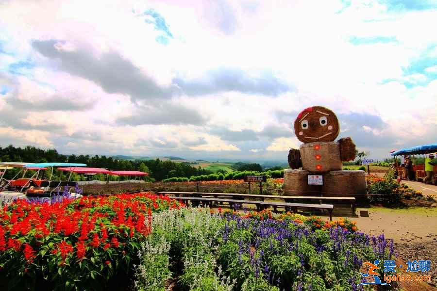 北海道夏天好玩吗，北海道夏天美吗？