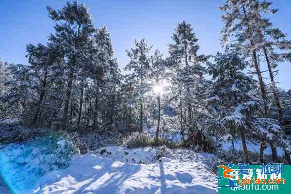 成都耍雪有哪些地方 成都周边雪山有哪些？