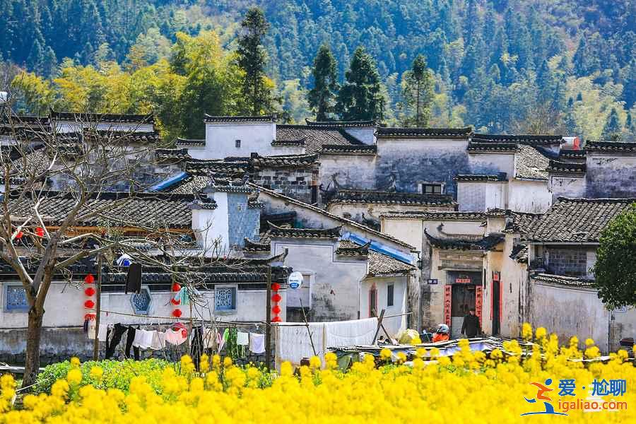 端午去黄山哪里好玩，端午黄山好玩吗，端午节黄山旅游攻略？