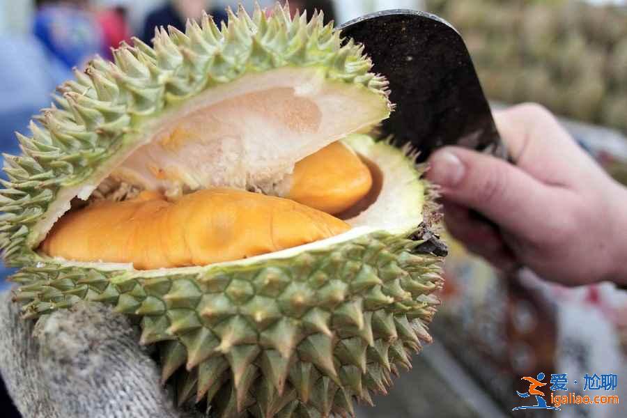 在哪能吃到马来西亚最正宗的榴莲，马来西亚去哪吃榴莲，马来西亚榴莲控食用指南？