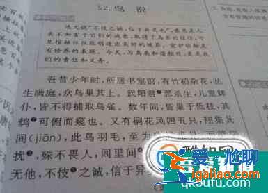 怎么学好初中语文才能考出好成绩？