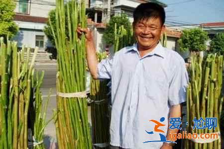 中国九大最臭美食 你吃过几种？？
