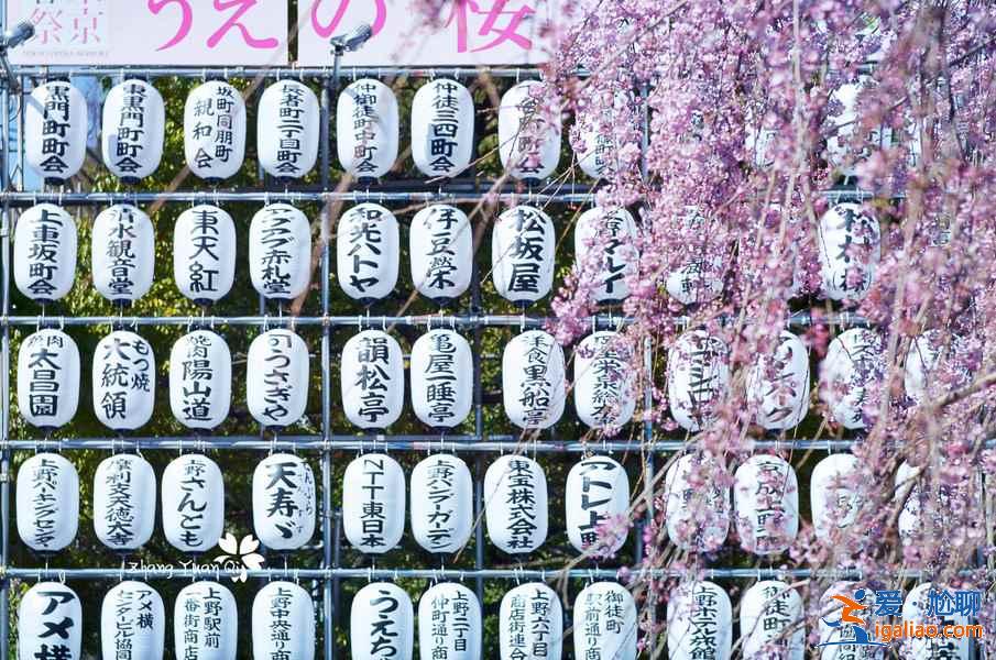 东京上野公园怎么玩，东京上野公园景点，东京上野公园攻略？
