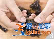 豆角丝炒肉怎么做？？