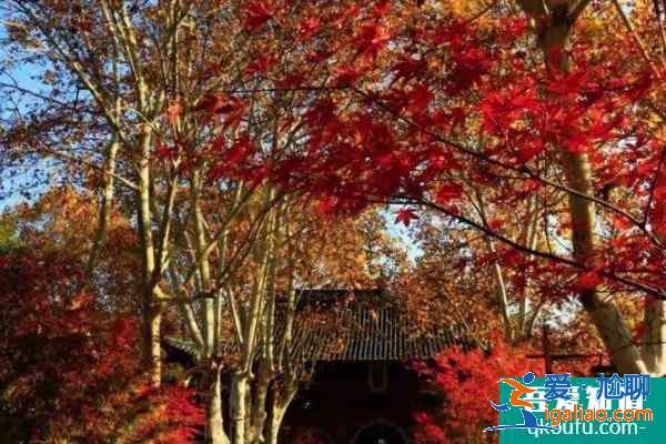 2021南京栖霞山元旦游玩指南 南京栖霞山元旦活动取消？
