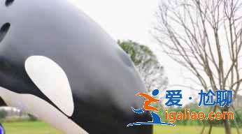 红米k30s拍出照片太白是怎么回事？