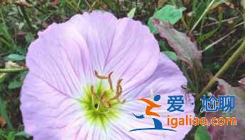 红米k30s拍出照片太白是怎么回事？