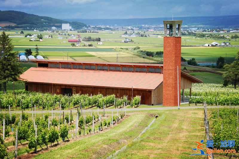 北海道旅行：葡萄酒爱好者天堂—北海道葡萄酒厂？