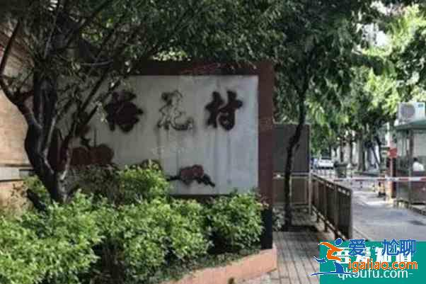 广州市哪里有梅花观赏 赏梅好去处？