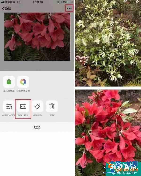 iphone怎么截长图 苹果手机怎么截长图？