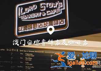 澳门哪家蛋挞好吃，澳门蛋挞推荐，澳门蛋挞选哪家？