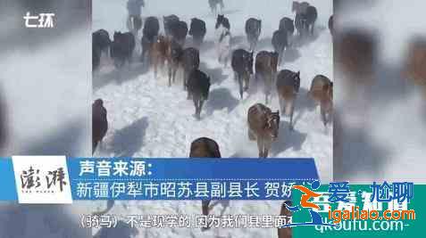 2020年全国十大热门旅游景区？