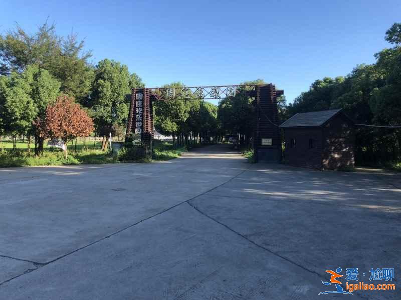 苏州亲子游去哪玩，苏州亲子游必去景点，苏州亲子游攻略？