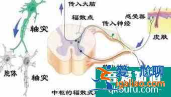 如何区分条件反射和无条件反射？？