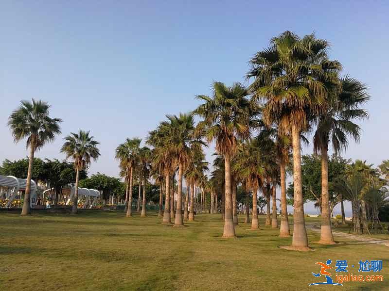 厦门四日游去哪里，厦门四日游路线，厦门四日游攻略？