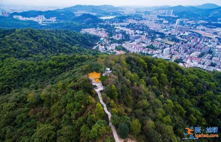 广州五日游去哪好，广州五日游最佳路线，广州五日游攻略？