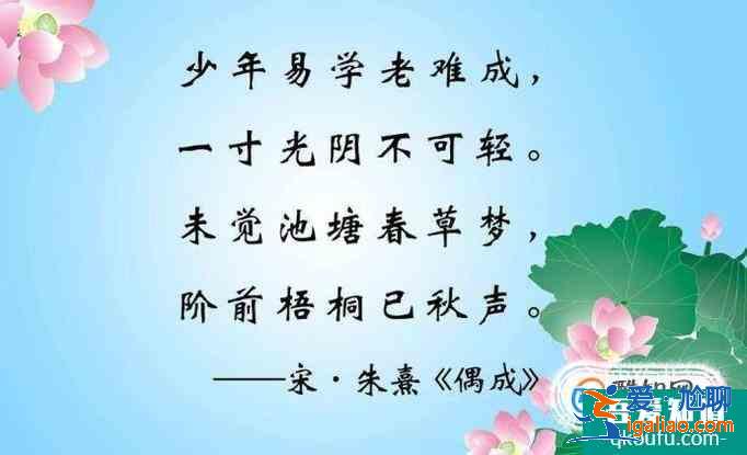 中学语文的学习方法？