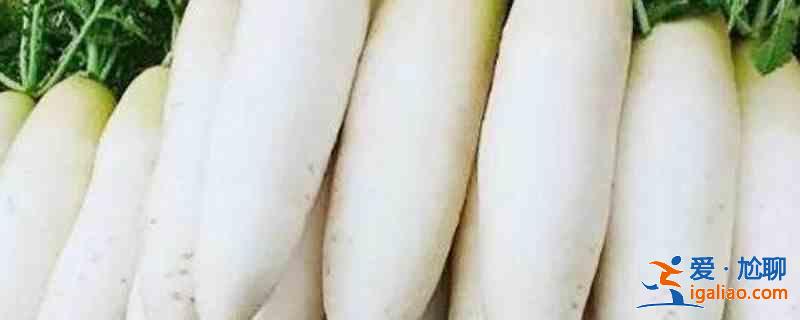 韩国泡菜萝卜的腌制方法？