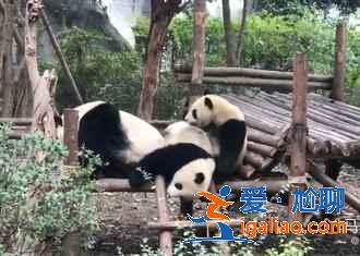 成都近郊一日游推荐，成都周边郊区好玩的地方，成都周边一日游好去处？
