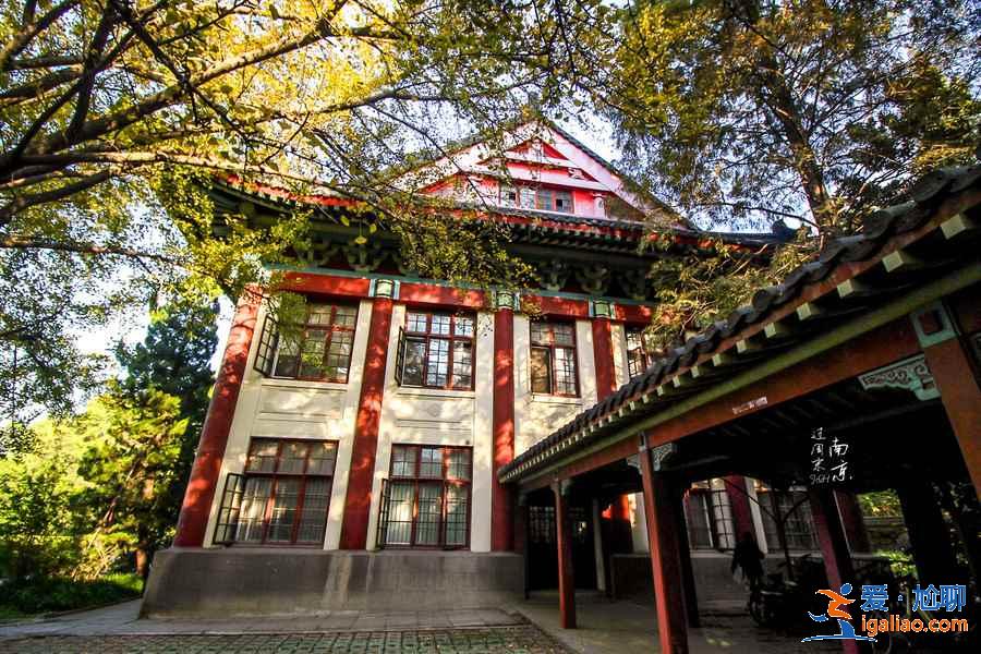 精致与韵味并重的校园，尽显南京学府风采？