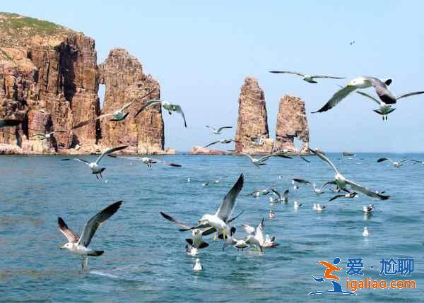 烟台和威海哪个好玩，烟台和威海旅游哪个好？