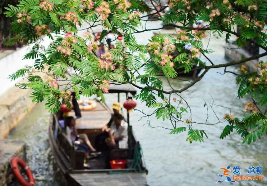 上海怎么玩，2019上海深度游，上海8日路线推荐？