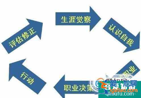 关于大学生职业生涯规划如何写？？