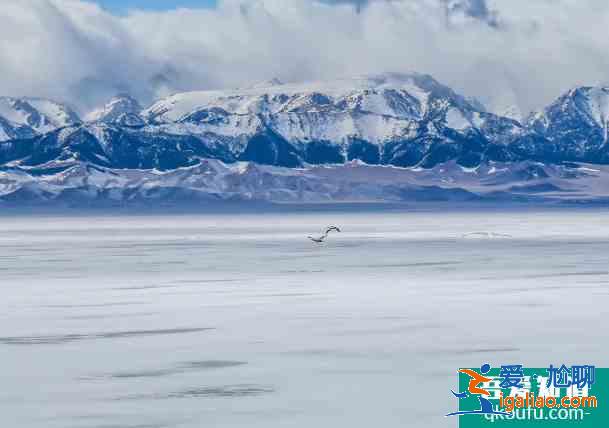 2021过年适合旅游的地方有哪些 2月旅游最佳去处国内？