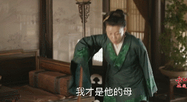 《知否》大娘子魔性怼人,绝对是影视界的快嘴BBKing 《知否》大娘子魔性怼人,绝对是影视界的快嘴BBKing
