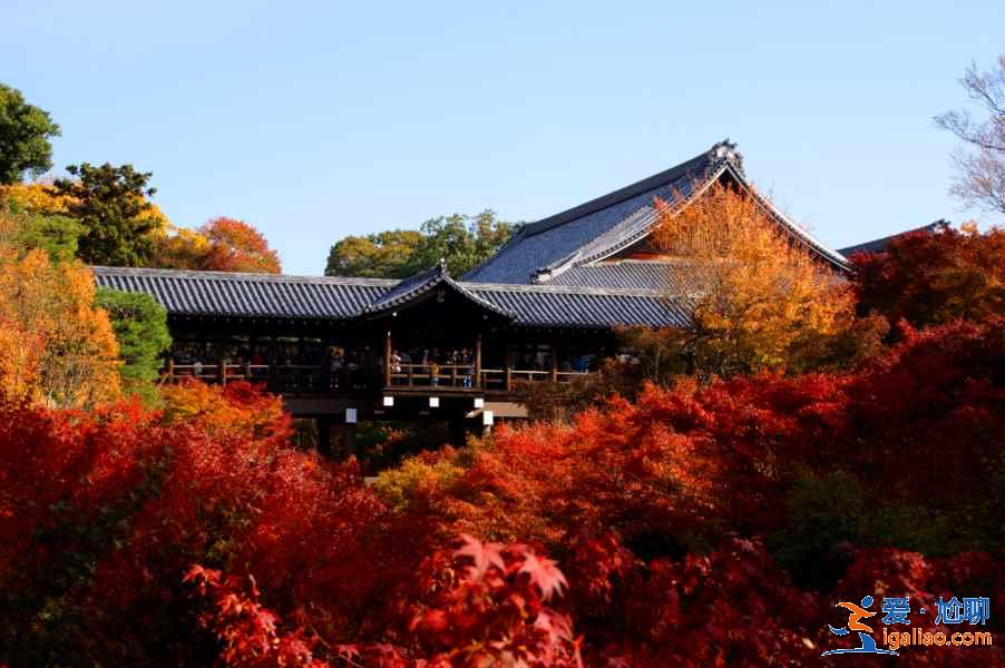京都一日游怎么玩？京都一日游怎么安排？京都一日游推荐？