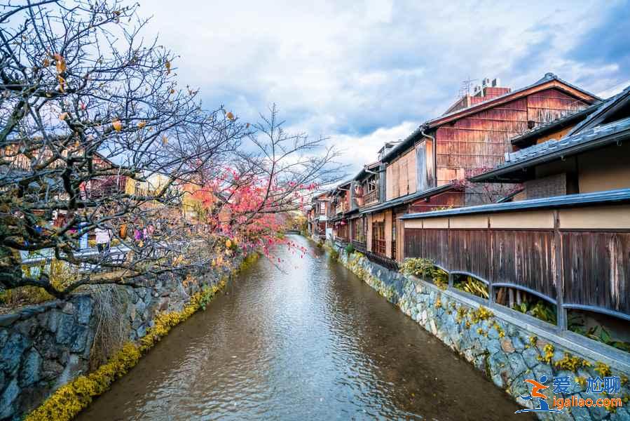 京都一日游怎么玩？京都一日游怎么安排？京都一日游推荐？