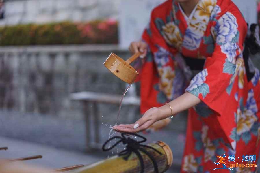 京都一日游怎么玩？京都一日游怎么安排？京都一日游推荐？
