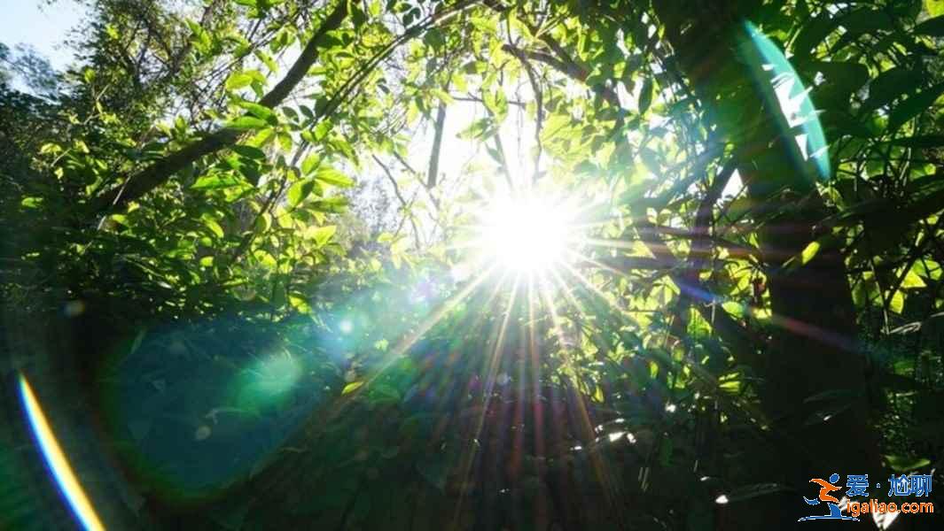 厦门6月份天气预报，2019厦门六月份穿什么？