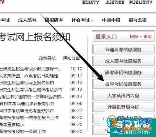 自学考试如何查询已经报考的科目？？