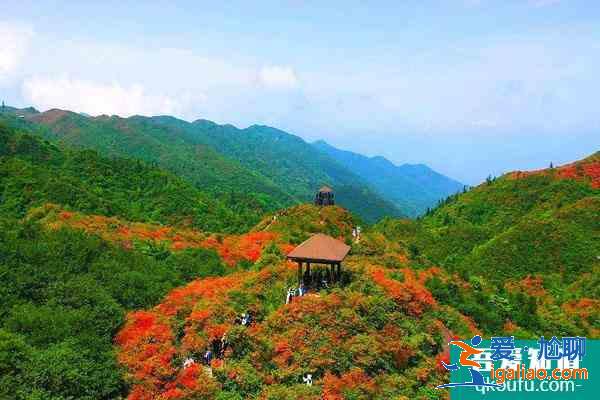 大围山国家森林公园将于2021年12月31日恢复开放？
