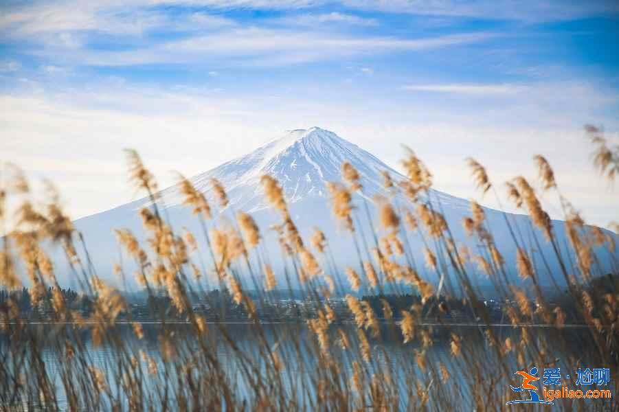 日本最全旅游时间表！日本最佳旅游时间？