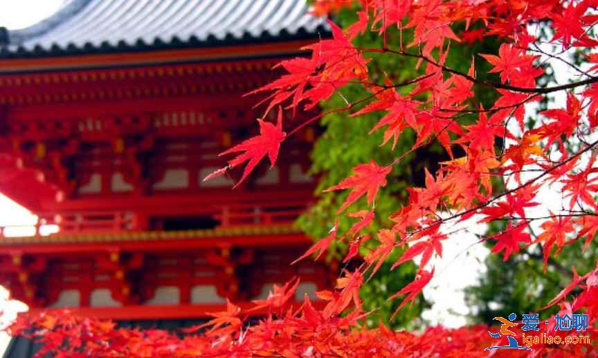 日本最全旅游时间表！日本最佳旅游时间？