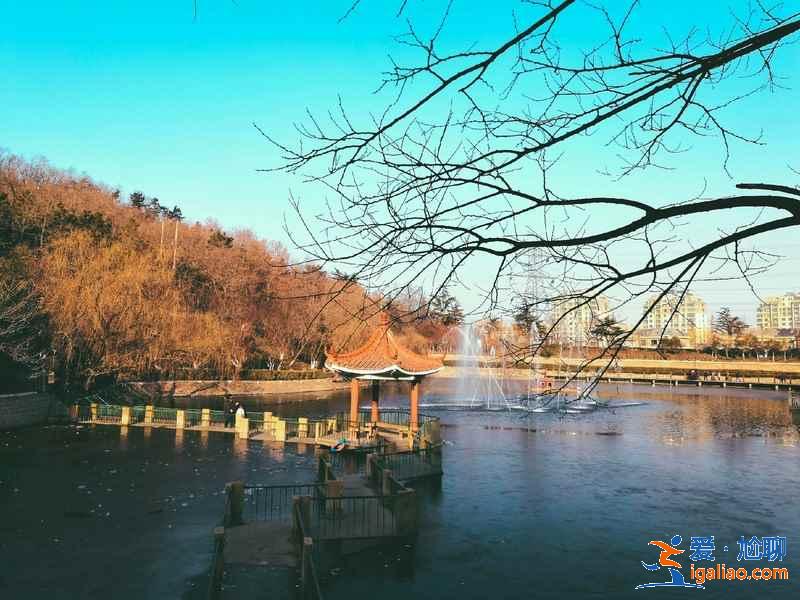 青岛春季游玩去哪好，青岛春季游玩好去处有哪些，青岛踏青攻略？