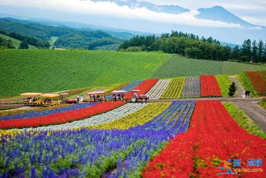 北海道适合几月份去，北海道适合几月份去？