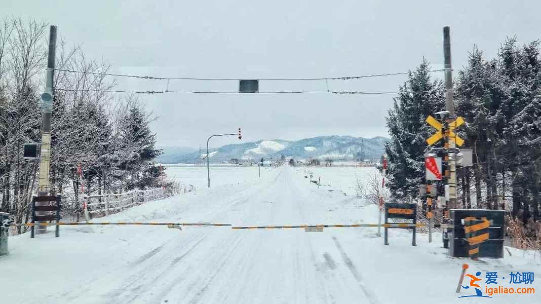 北海道适合几月份去，北海道适合几月份去？