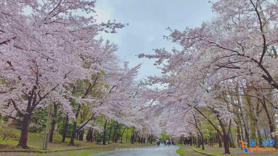 北海道适合几月份去，北海道适合几月份去？
