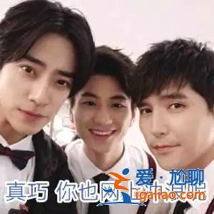 阿云嘎、郑云龙、蔡程昱哭成泪人，《声入人心》的终极泪点很辛酸